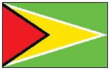 Guyana Flag